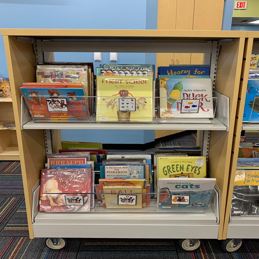 magbrowz bins on existing shelving – LFI Education